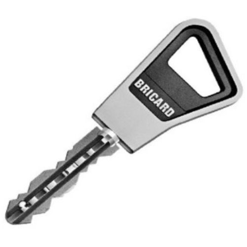 Cylindre monobloc ovoïde SUPERSURETE double entrée sans bille 40x40mm chromé - BRICARD – 818000 pas cher Secondaire 1 L