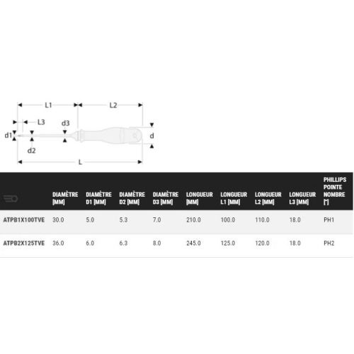 Tournevis électricien Protwist® Borneo® PH2 6x125mm pour vis mixte PZ/PH longueur totale 245mm - FACOM - ATPB2X125TVE pas cher Secondaire 1 L