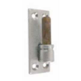 Gond sur platine inox Torbel diamètre 16 mm - S901316Z photo du produit Principale M