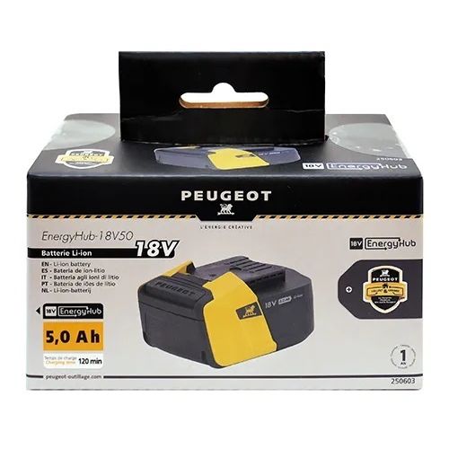 Batterie 18V ENERGYHUB 5 Ah PEUGEOT OUTILLAGE 250603 photo du produit Secondaire 1 L