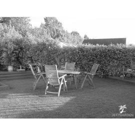 Gazon synthétique Jet7garden GREEN40-BLO (40mm) rouleau 25 m - JET7GREEN40-BLO pas cher Principale M