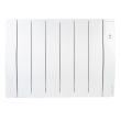 Radiateur connecté horizontal blanc GALAPAGOS 750 W ATLANTIC 500607 photo du produit