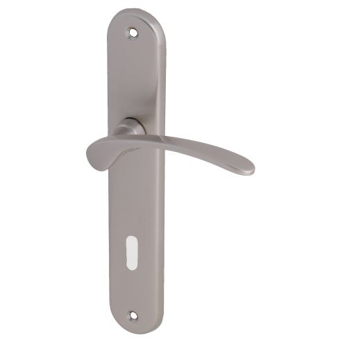 Ensemble sur plaque MORGAN cl&eacute; L finition satin nickel&eacute; HERACLES B-MORGA-SN03 photo du produit