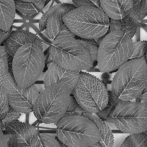 Plaques clipsables 1m2 - feuillage rosier veine - JET7GARDEN - J7GRVEINE pas cher Secondaire 2 L