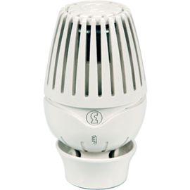 T&ecirc;te thermostatique &agrave; bulbe liquide R460 Giacomini - R460X001 pas cher Principale M