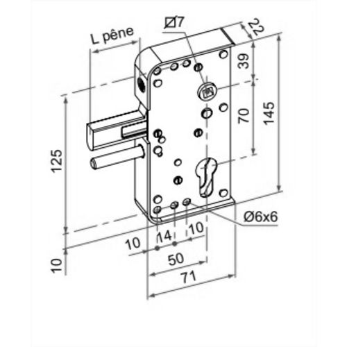 Serrure de portail en applique série GA levant 40mm - TIRARD - GA592303 pas cher