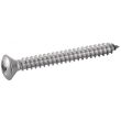 Vis à tôle tête fraisée bombée pozidrive forme C inox A2 DIN 7983 4,2X19 boîte de 200 - ACTON- 624114,2X19 pas cher