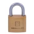 Cadenas laiton UNO 35 mm sous blister HERACLES I-CAD35-BS photo du produit