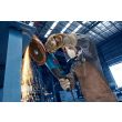 Meuleuse d'angle 2800 W EXWS30-230PB sous carton BOSCH EXPERT 06018G1101 photo du produit Secondaire 5 S