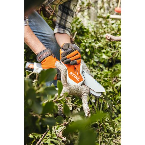 STIHL MSA 161 T en 25 cm - Tronçonneuse Batterie - Motoculture St Jean