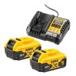 Pack 2 batteries 18V XR 5Ah Li-Ion + chargeur - DEWALT - DCB1104P2-QW pas cher