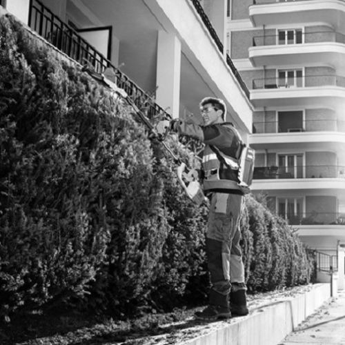 Taille-haie sans-fil sur perche Stihl HLA 65 nu 36 V pas cher Secondaire 8 L