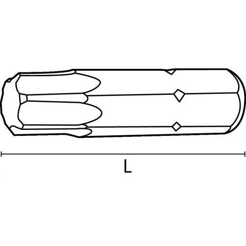 Boîte de 10 embout Torx T 10/25 - ACTON - 3604010/25 pas cher Secondaire 1 L