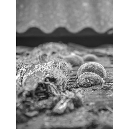 Bidon antimousse 2100 concentré 5l - DALEP - 101000203 pas cher Secondaire 1 L