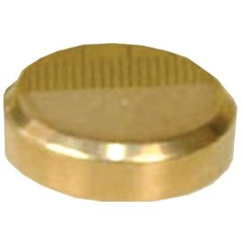 CACHE VIS PLAT DIA 18 LAITON LP photo du produit Principale M