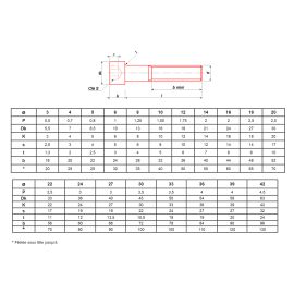 Vis à métaux Ultima à tête cylindrique hexagonale creuse brut classe 12.9 DIN 912 pas cher Principale M