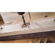Mèche à bois hélicoïdale 30 x 145 x 220 mm BOSCH 2608597208 photo du produit Secondaire 4 S