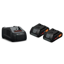 Pack de 2 batteries 18V Fein ProCORE 4 Ah + chargeur - 92604228010 pas cher Principale M