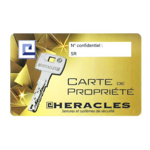 Cylindre monobloc SR type FI66 vari&eacute; chrom&eacute; 4 cl&eacute;s HERACLES DOMSR.FICH3 photo du produit Secondaire 2 L