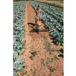 Motobineuse thermique 252 cm3 MH 700 STIHL 6251-011-3910 photo du produit Secondaire 4 S
