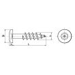 Vis pour penture Torx avec téton inviolable A2 6x30 boîte de 100 ACTON 628136X30 photo du produit Secondaire 1 S