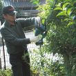 Taille-haie 18 V 52 cm + 1 batterie 1,5 Ah + chargeur MAKITA DUH523RY photo du produit Secondaire 2 S