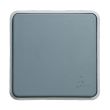 Bouton-poussoir PLEXO 10 A gris mat LEGRAND 069540 photo du produit