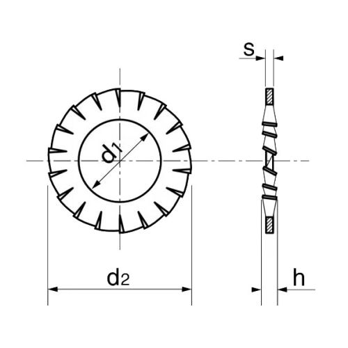 Rondelle éventail à denture extérieure AZ inox A2 DIN 6798A 4X8X1,5 boîte de 200 - ACTON - 625134 pas cher Secondaire 2 L