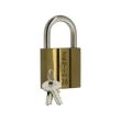 Cadenas ZENITH 38 cylindre 40mm 2 clés - ISEO - 2074017 pas cher