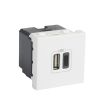 Chargeur USB MOSAIC 2 modules 230 V blanc - LEGRAND - 077592 pas cher