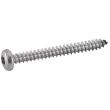 Vis à tôle tête cylindrique bombée Torx A4 DIN 7981 3.9X9.5 boîte de 200 ACTON 644073,9X9,5 photo du produit