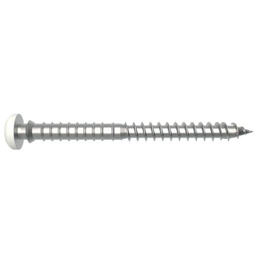 Vis pose réglable SPTR V6 14 blanc 6X60 boîte de 100 SFS INTEC 1553854 photo du produit Principale L
