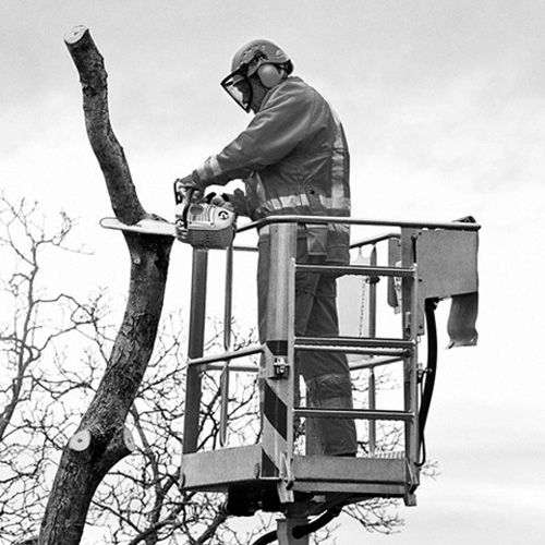 Tronçonneuse d'élagage 35,2cm³ MS 201 TC-M - guide Rollo E Light 35 cm 3/8'' PS3 - STIHL - 1145-200-0267 pas cher Secondaire 10 L