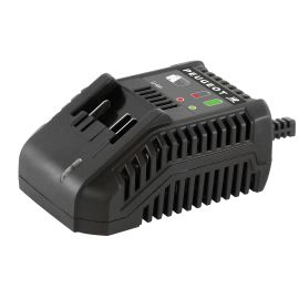 Chargeur 18V ENERGYHUB - Peugeot Outillage - 250625 photo du produit Principale M