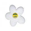 Absorbant crême solaire Water Lily en boite C/36 TOUCAN TOU-400-0007 photo du produit