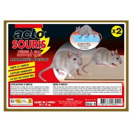 Piège à glu pour souris Acto rongeurs support bois - GLU4 photo du produit Principale M
