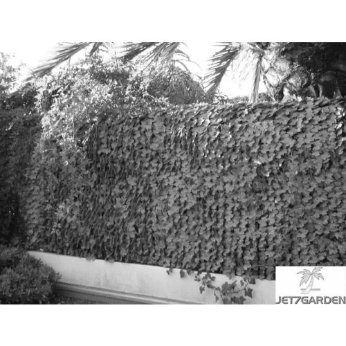 Rouleau haie artificielle feuilles de lierres 1mx3m - JET7GARDEN - J7GF.VC100 pas cher