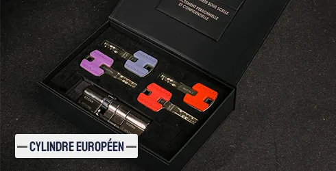 Cylindre européen