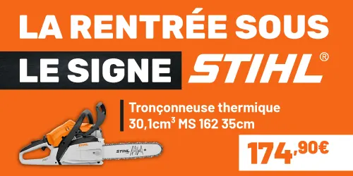 Tronçonneuse MS162 