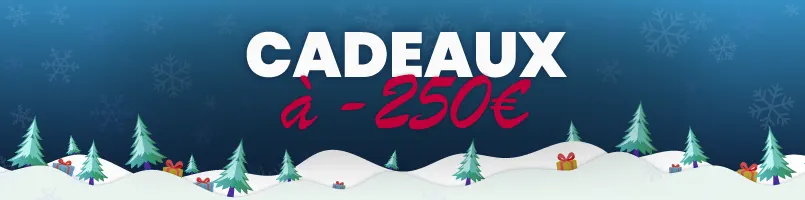 Cadeaux à - de 250€