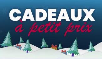Cadeaux à petits prix
