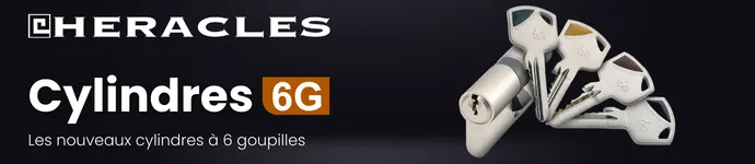 HERACLES-6G