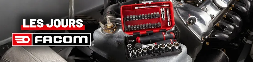 Les jours Facom