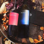 MAGNUS Napa Wine Gift Set in Gift Box