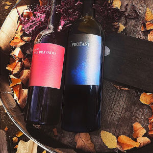 MAGNUS Napa Wine Gift Set in Gift Box