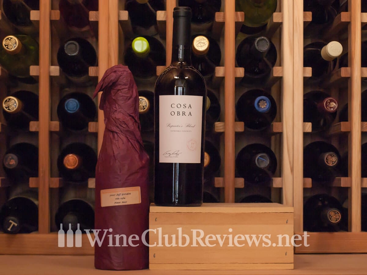 Elevant Society Wine Club Review — Compare Vinesse Cost & Benefits to