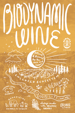 Biodynamic Wine Sampler