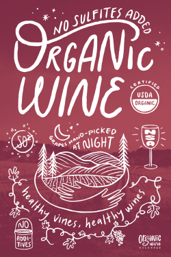 No Sulfites Added Wine Sampler