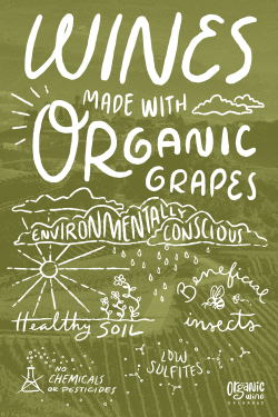Organic Wine Sampler