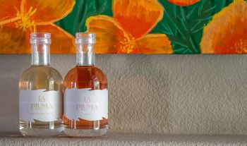 La Pluma wines from In Good Taste